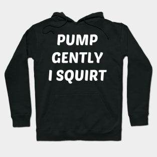 pump gently i squirt Hoodie
